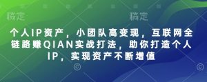 个人IP资产，小团队高变现，互联网全链路赚QIAN实战打法，助你打造个人IP，实现资产不断增值-皮皮网创