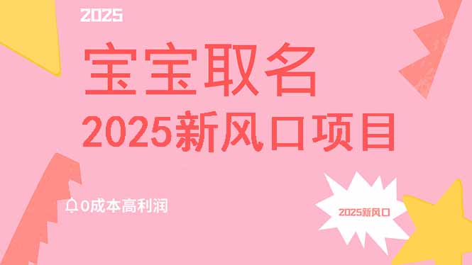2025新风口项目宝宝取名，0成本高利润，附保姆级教程，月入过万不是梦-皮皮网创