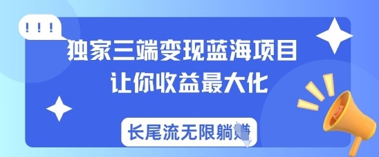 独家三端变现蓝海项目，让你收益最大化，长尾流无限躺挣-皮皮网创