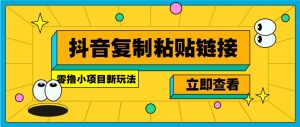零撸小项目，新玩法，抖音复制链接0.07一条，20秒一条，无限制。-皮皮网创