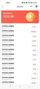 京东达人视频带货速成班，长期饭票，稳定月入3K-皮皮网创