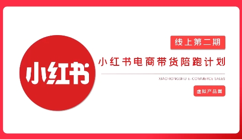 2025小红书虚拟电商实战课，从0到1打造无货源店铺，AI+爆款笔记轻松变现-皮皮网创