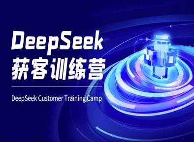 DeepSeek获客训练营-ai电商教程-皮皮网创