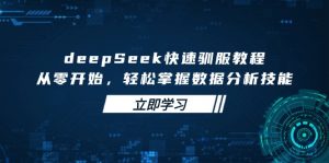 deepSeek快速驯服教程，从零开始，轻松掌握数据分析技能-皮皮网创