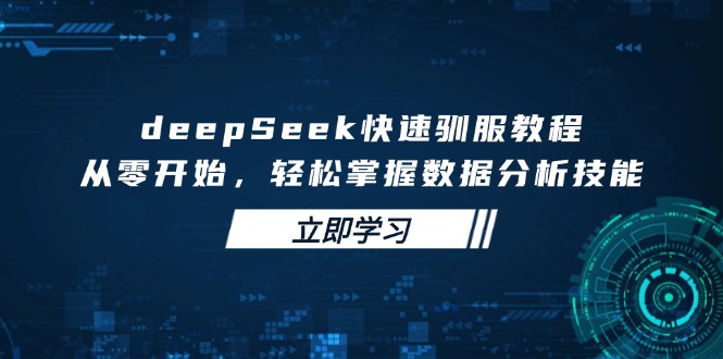 deepSeek快速驯服教程，从零开始，轻松掌握数据分析技能-皮皮网创