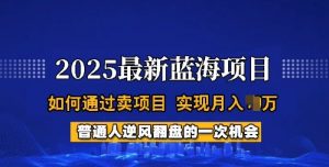 2025蓝海项目,普通人如何通过卖项目,实现月入过W,全过程【揭秘】-皮皮网创