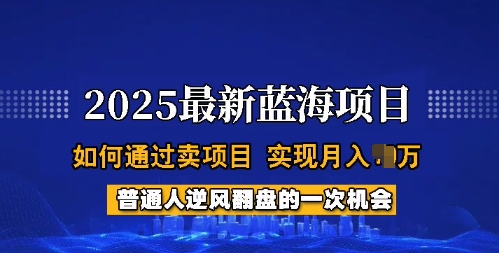 2025蓝海项目，普通人如何通过卖项目，实现月入过W，全过程【揭秘】-皮皮网创