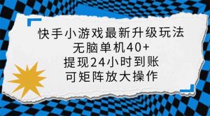 快手小游戏最新版升级玩法，新风口，无脑单机日入40+，可批量放大，小...-皮皮网创