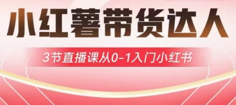 小红薯达人带货启航计划,3节直播课从0-1入门小红书-皮皮网创