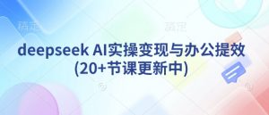deepseek AI实操变现与办公提效(20+节课更新中)-皮皮网创