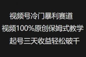 视频号冷门暴利赛道视频100%原创保姆式教学起号三天收益轻松破千-皮皮网创