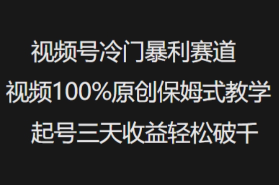 视频号冷门暴利赛道视频100%原创保姆式教学起号三天收益轻松破千-皮皮网创