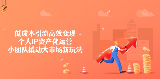 低成本引流高效变现，个人IP资产化运营，小团队撬动大市场新玩法-皮皮网创