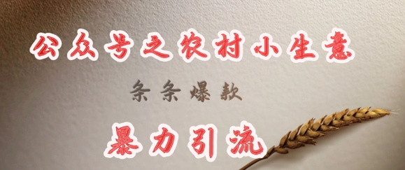 deepseek写农村小项目，条条爆款，暴力引流-皮皮网创