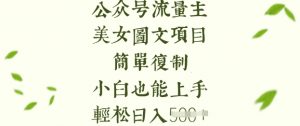 流量主长期收益项目，美女图片简单复制，小白也能上手，轻松日入5张-皮皮网创