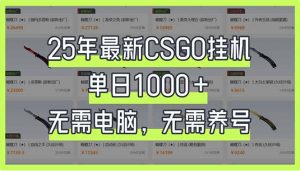 25年最新CSGO挂机系统，单日1000+，无需电脑，无需养号，0基础可上手-皮皮网创