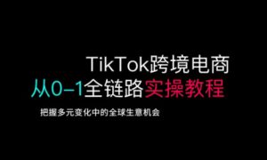 TikTok跨境电商从0-1全链路全方位实操教程，把握多元变化中的全球生意机会-皮皮网创