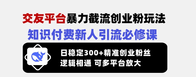 交友平台暴力截流创业粉玩法，知识付费新人引流必修课，日稳定300+精准创业粉丝，逻辑相通可多平台放大-皮皮网创