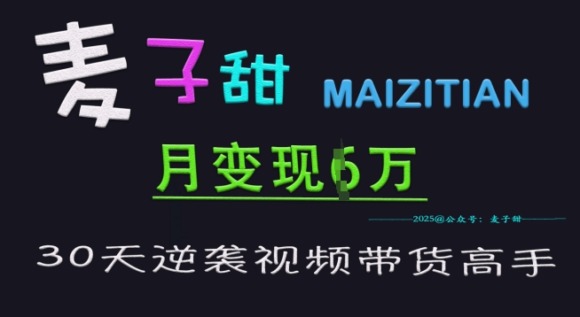 麦子甜30天逆袭视频带货高手，单月变现6W加特训营-皮皮网创