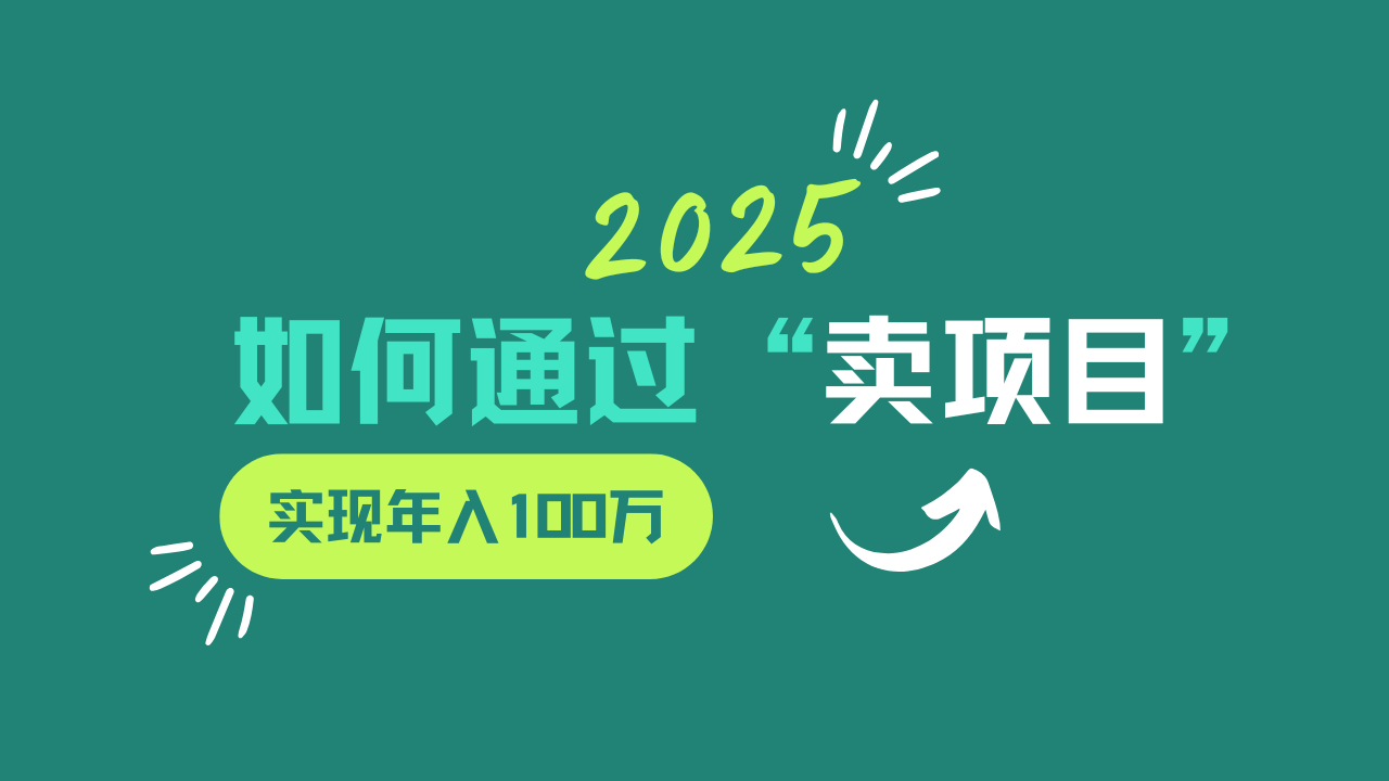 2025年如何通过“卖项目”实现年入100w-皮皮网创