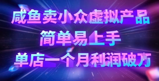 咸鱼卖小众虚拟产品，简单易上手，单店一个月利润破W-皮皮网创