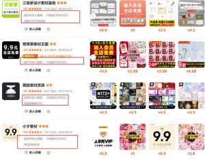 0成本虚拟项目实战手把手教你落地，单店月入5k-皮皮网创