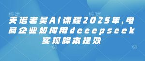 天诺老吴AI课程2025年，电商企业如何用deeepseek实现降本提效-皮皮网创