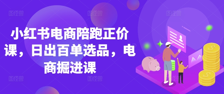 小红书电商陪跑正价课，小红书官方认证电商讲师教学，日出百单选品，电商掘进课-皮皮网创