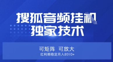 【搜狐音频挂G】独家技术，可矩阵可放大，红利期稳定月入8k【揭秘】-皮皮网创