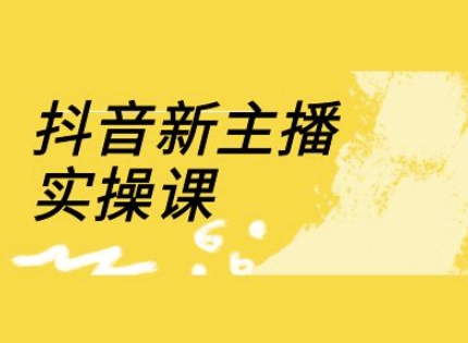 抖音新主播实操课，直播间流量运营线上实操课(18节)-皮皮网创