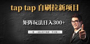 taptap拉新自刷项目,一个新用户14元,矩阵玩法日入300+-皮皮网创