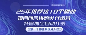 25年推荐这10个副业项目包含褂鸡类、代运营托管类、全自动打金类【揭秘】-皮皮网创
