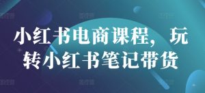 小红书电商课程，玩转小红书笔记带货-皮皮网创