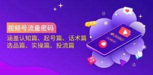 视频号流量密码：涵盖认知篇、起号篇、话术篇、选品篇、实操篇、投流篇-皮皮网创