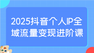 2025抖音个人IP全域流量变现进阶课：选爆品、抖音付费投流、千川投流实操及优化等-皮皮网创