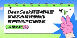 DeepSeek获客特训营：掌握不出镜视频制作，日产百条IP口播视频-皮皮网创