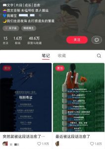 小红书治愈文案图文笔记，零门槛，一分钟制作轻松制作爆款作品月入万元-皮皮网创