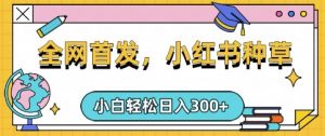 小红书种草，手机项目，日入3张，复制黏贴即可，可矩阵操作，动手不动脑【揭秘】-皮皮网创