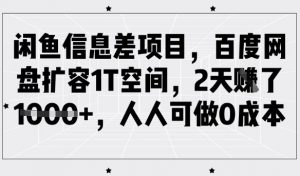 闲鱼信息差项目，百度网盘扩容1T空间，2天收益1k+，人人可做0成本-皮皮网创
