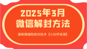 2025年3月微信解封方法 最新跳辅助核对技术【小伙伴亲测】-皮皮网创