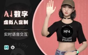 Ai数字人虚拟(智能体)实时语音交互特训营,自行定制超写实角色AI数字人交互技术-皮皮网创