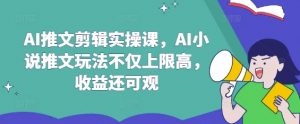 AI推文剪辑实操课,AI小说推文玩法不仅上限高,收益还可观-皮皮网创