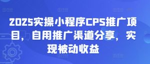 2025实操小程序CPS推广项目,自用推广渠道分享,实现被动收益-皮皮网创