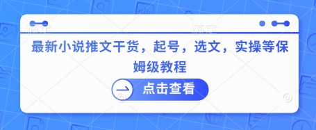 最新小说推文干货，起号，选文，实操等保姆级教程-皮皮网创