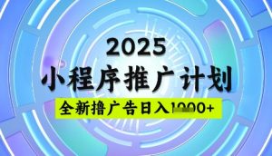 2025微信小程序推广计划，撸广告玩法，日均5张，稳定简单【揭秘】-皮皮网创
