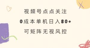 视频号点点关注,0成本单号80+,可矩阵,绿色正规,长期稳定【揭秘】-皮皮网创