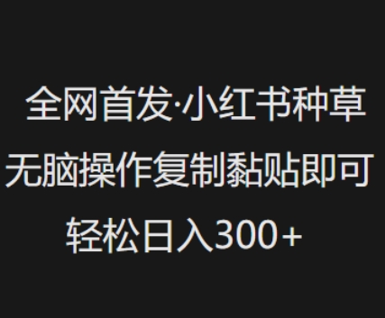全网首发，小红书种草无脑操作，复制黏贴即可，轻松日入3张-皮皮网创