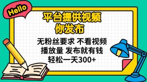 平台提供视频 你发布 无粉丝要求 不看视频播放量 发布就有钱 轻松一天300+-皮皮网创