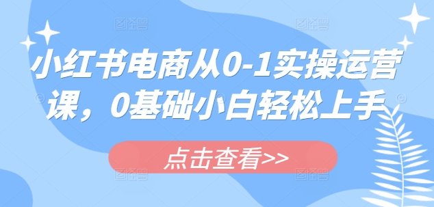 小红书电商从0-1实操运营课，0基础小白轻松上手-皮皮网创