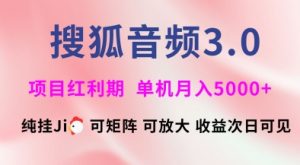 搜狐音频挂ji3.0.可矩阵可放大,独家技术,稳定月入5000+【揭秘】-皮皮网创